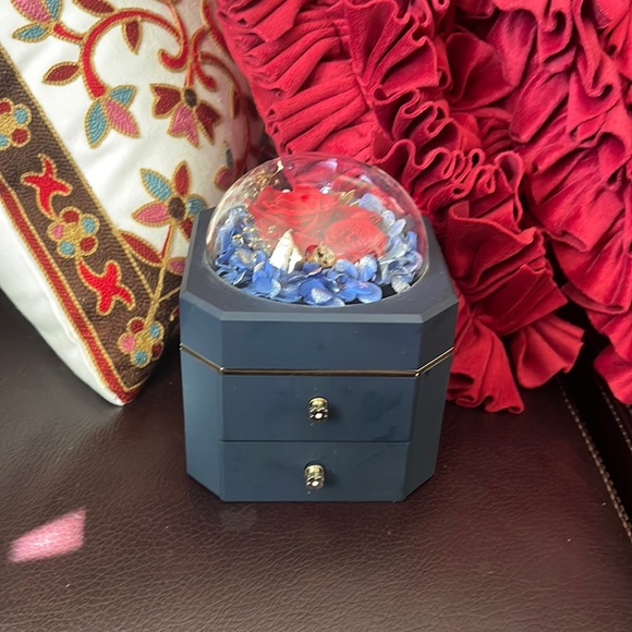Pre used jewelry Storge box - Picture 1 of 5
